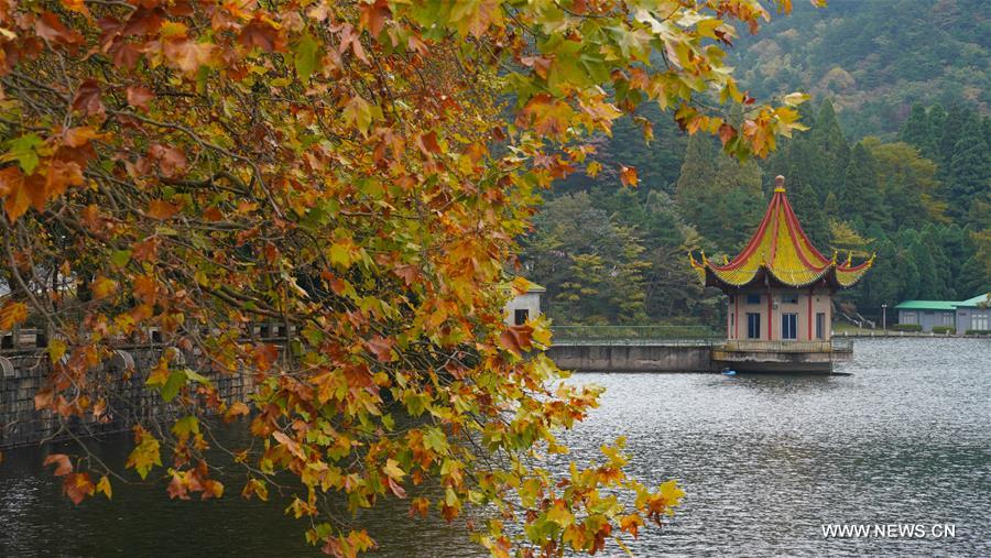 ????? ?????? ?? ??? ????? ?? ???? ?????