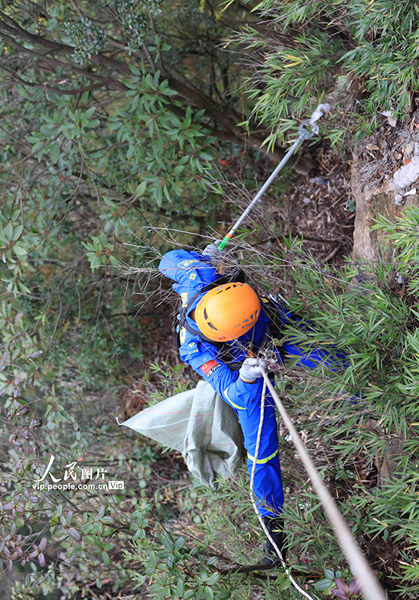 ??????.. ?????? ??????? ??? ????? ?? ????? ??????????? ?????? 