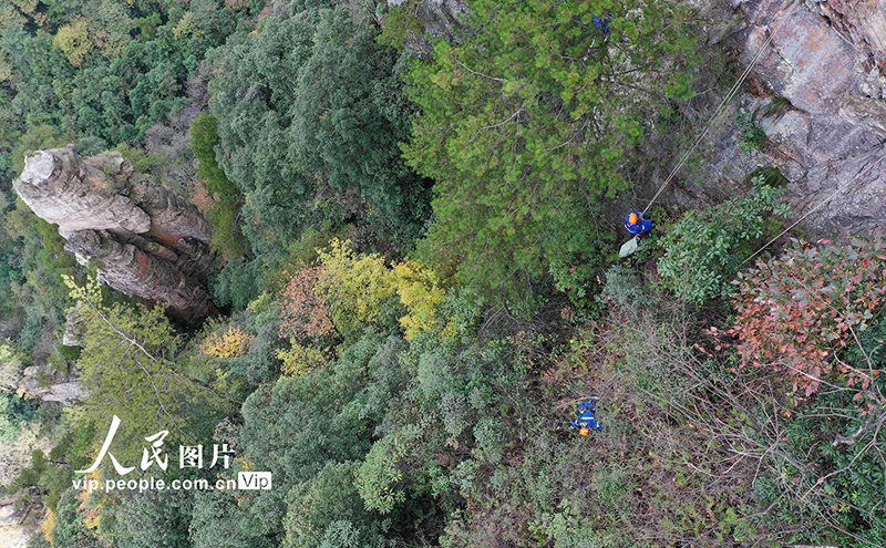 ??????.. ?????? ??????? ??? ????? ?? ????? ??????????? ?????? 