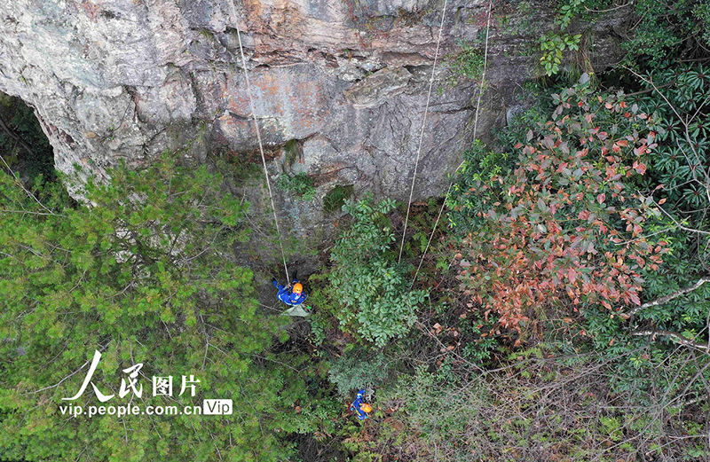 ??????.. ?????? ??????? ??? ????? ?? ????? ??????????? ?????? 