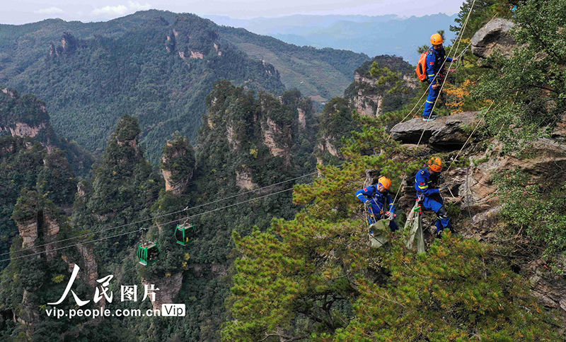 ??????.. ?????? ??????? ??? ????? ?? ????? ??????????? ?????? 