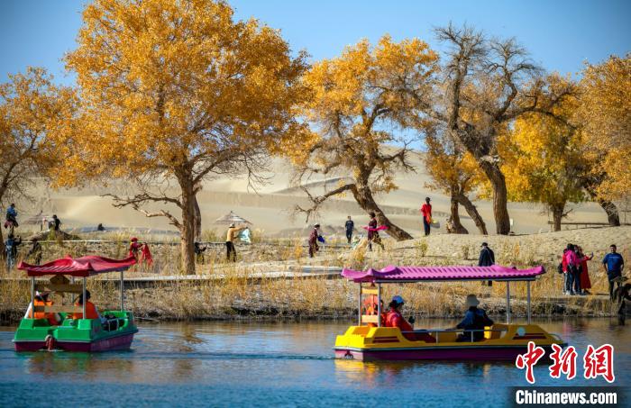 ?????: ?? ???? ???? ??? .. ????? ?????? ????? ???? ?? ????????