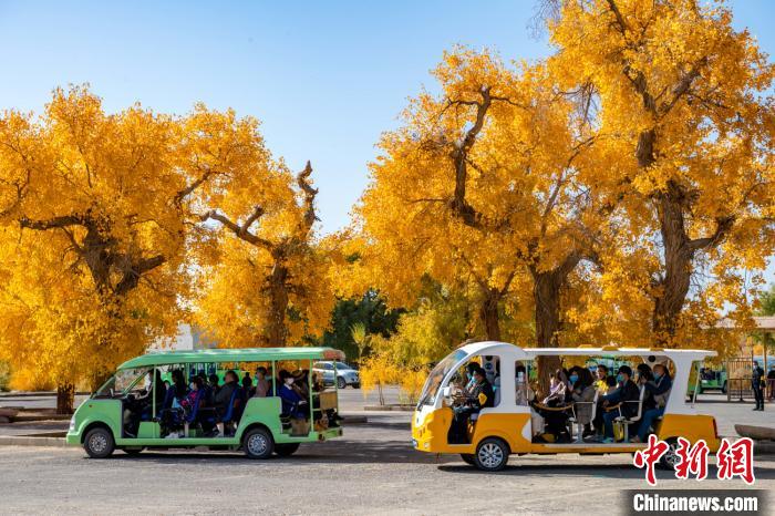 ?????: ?? ???? ???? ??? .. ????? ?????? ????? ???? ?? ????????