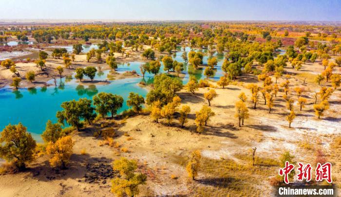 ?????: ?? ???? ???? ??? .. ????? ?????? ????? ???? ?? ????????