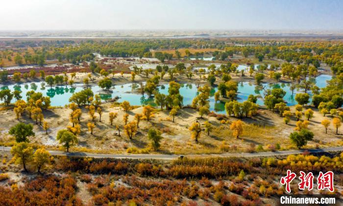 ?????: ?? ???? ???? ??? .. ????? ?????? ????? ???? ?? ????????