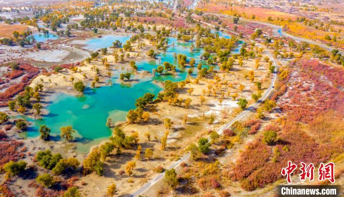 ?????: ?? ???? ???? ??? .. ????? ?????? ????? ???? ?? ????????