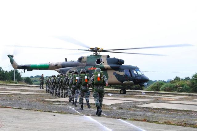 ?????? ????? ?????? ?????? ??? ????? ???????? ??? 800 ???