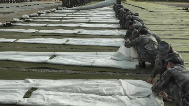 ?????? ????? ?????? ?????? ??? ????? ???????? ??? 800 ???