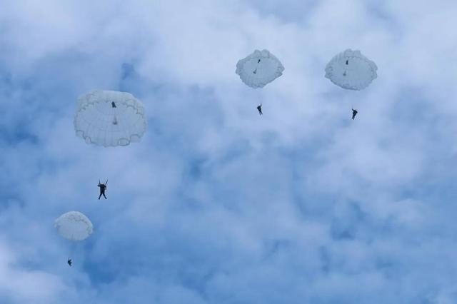 ?????? ????? ?????? ?????? ??? ????? ???????? ??? 800 ???