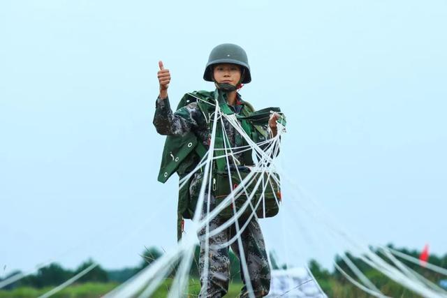 ?????? ????? ?????? ?????? ??? ????? ???????? ??? 800 ???