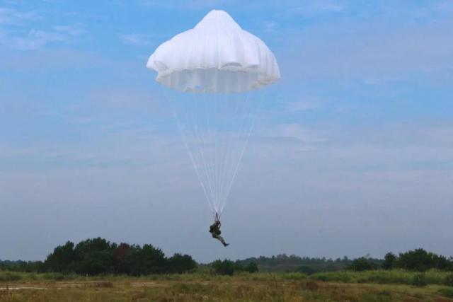 ?????? ????? ?????? ?????? ??? ????? ???????? ??? 800 ???