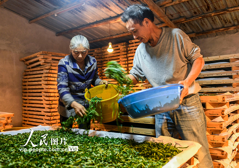 ???? ???? ???? ?????? ?? ???????? ???????? ?? ?????