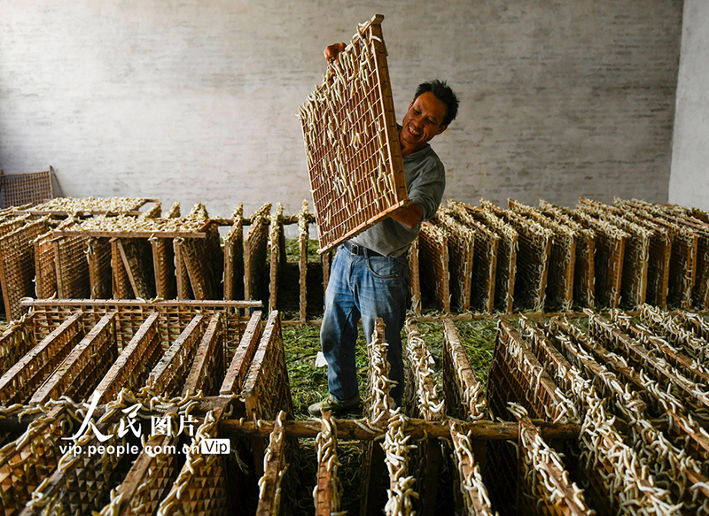 ???? ???? ???? ?????? ?? ???????? ???????? ?? ?????