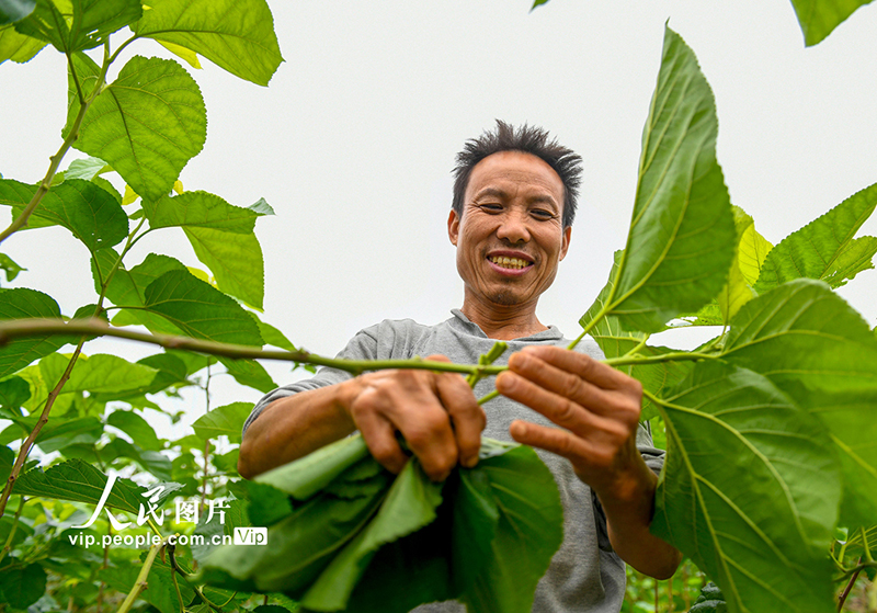 ???? ???? ???? ?????? ?? ???????? ???????? ?? ?????