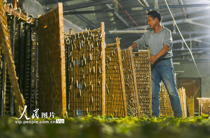 ???? ???? ???? ?????? ?? ???????? ???????? ?? ?????