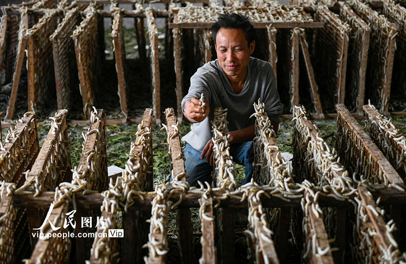 ???? ???? ???? ?????? ?? ???????? ???????? ?? ?????