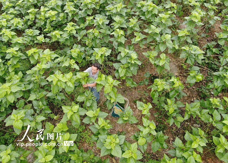 ???? ???? ???? ?????? ?? ???????? ???????? ?? ?????