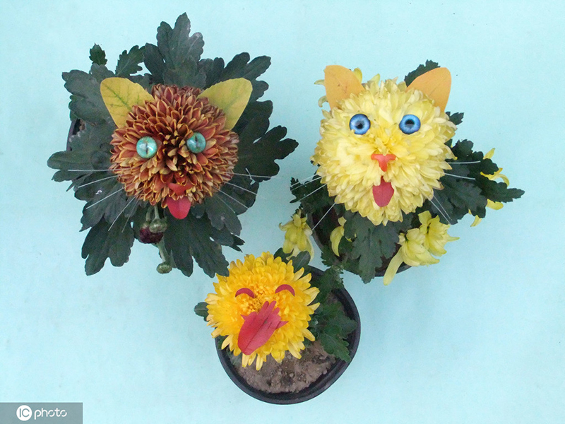 ????? ?????.. ?????????