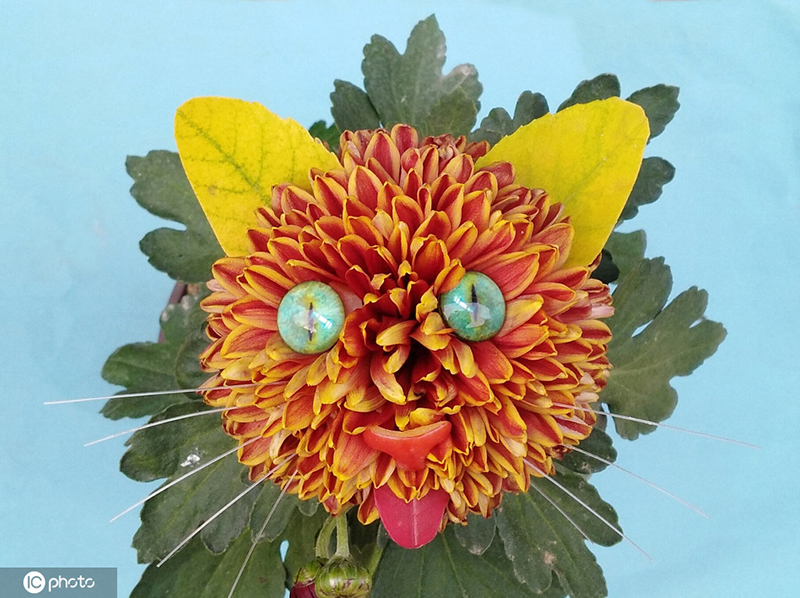 ????? ?????.. ?????????