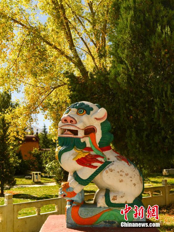 
??????? ??????? ?? ??? ?????? ???? ???? ????? ???????