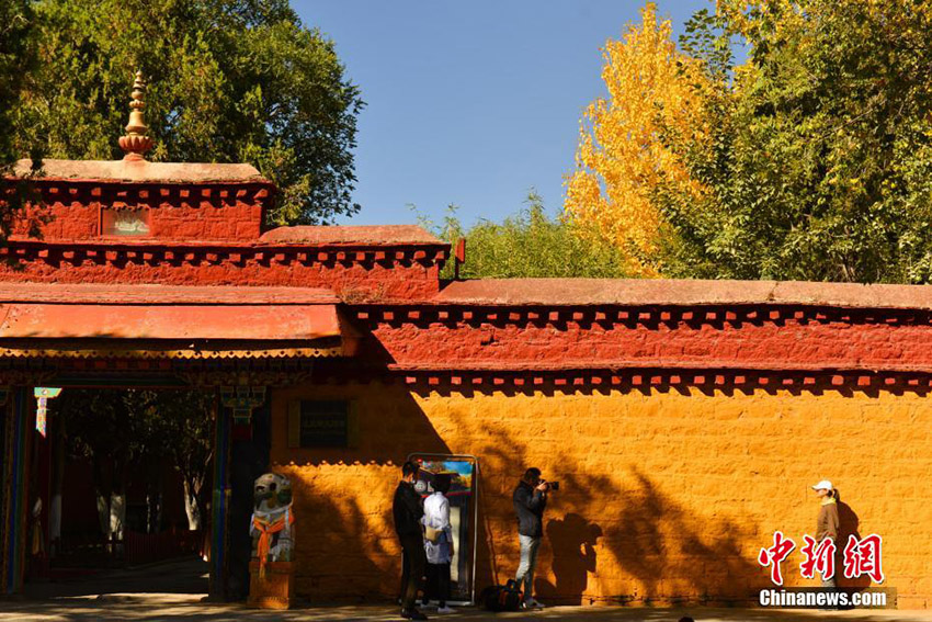 
??????? ??????? ?? ??? ?????? ???? ???? ????? ???????