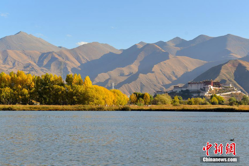 
??????? ??????? ?? ??? ?????? ???? ???? ????? ???????