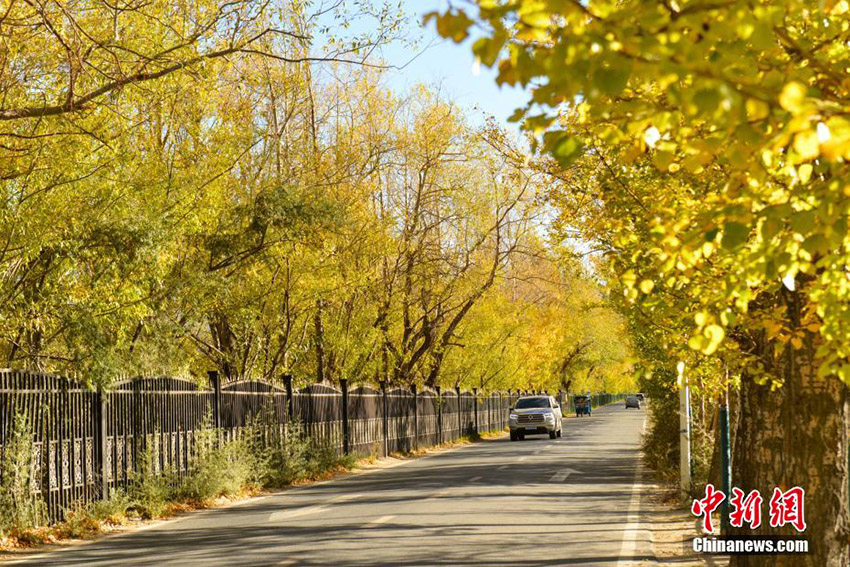 
??????? ??????? ?? ??? ?????? ???? ???? ????? ???????