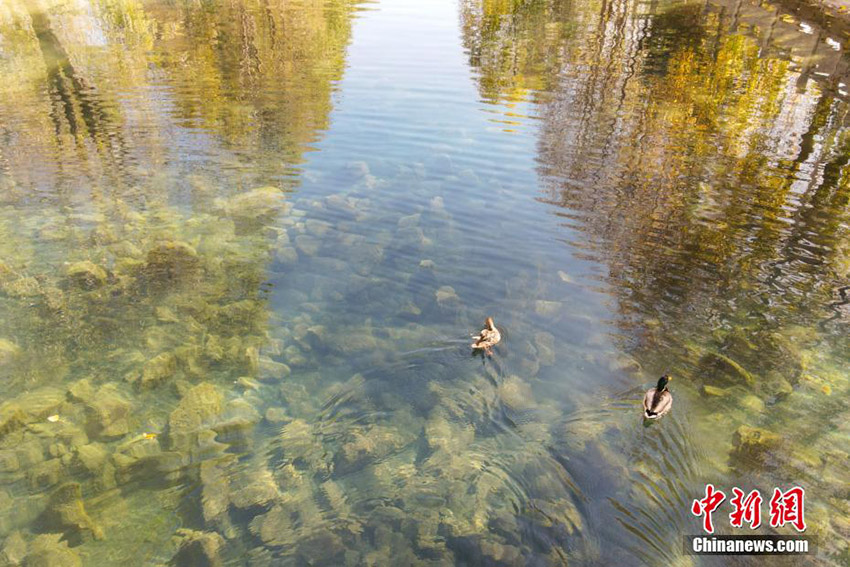 
??????? ??????? ?? ??? ?????? ???? ???? ????? ???????