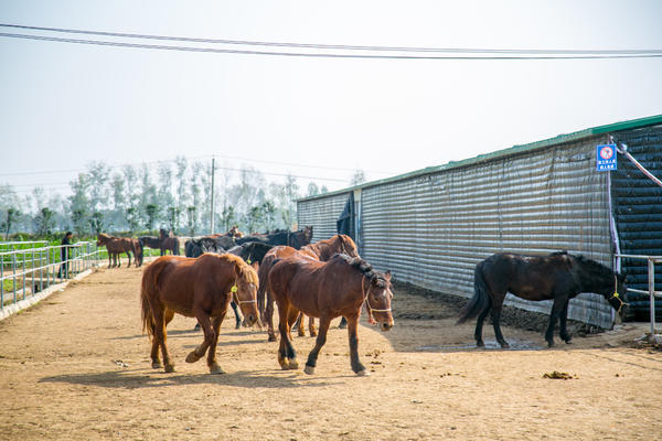 ??????? ??? ???? ?? ?????