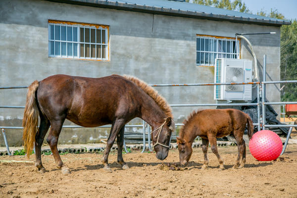 ??????? ??? ???? ?? ?????