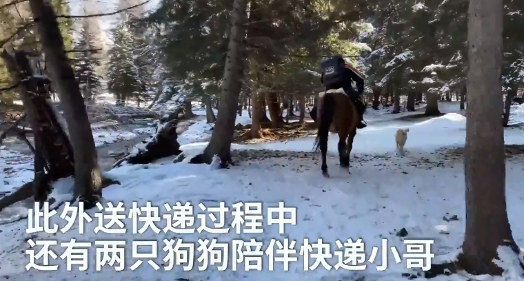 ?? ????????.. ???? ???? ???? ???? ?????? ?????? ?? ??????