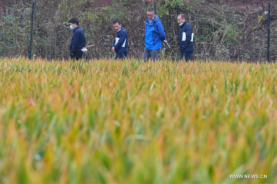 ????? ?????? ????? ?????? ?? ????? ???? ??????? ????? 22.96 ?? ??? ?????