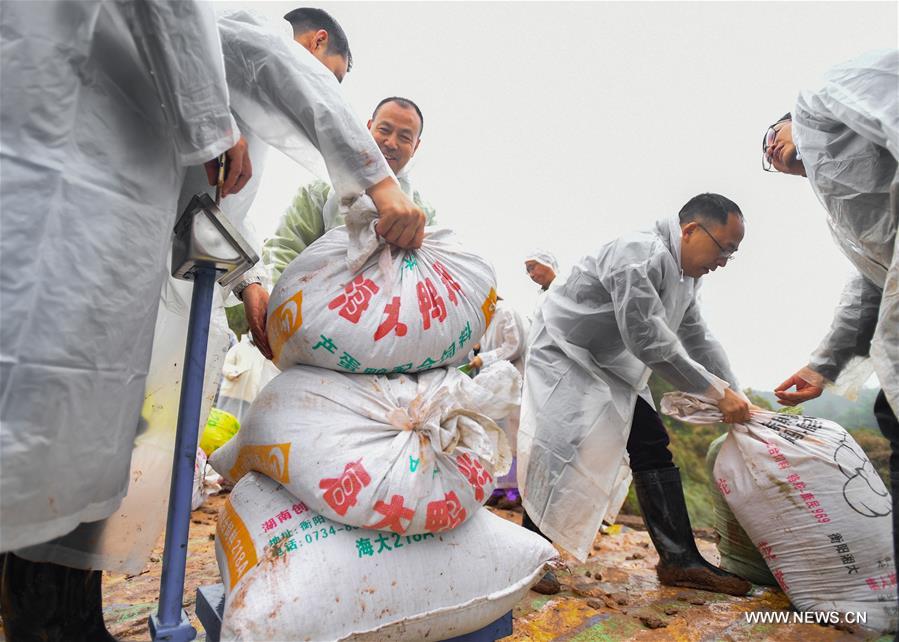 ????? ?????? ????? ?????? ?? ????? ???? ??????? ????? 22.96 ?? ??? ?????