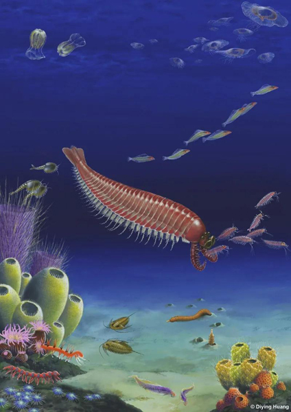 ????? ?????? ?????? ??? ????? ??????? ??? ??? 500 ????? ???