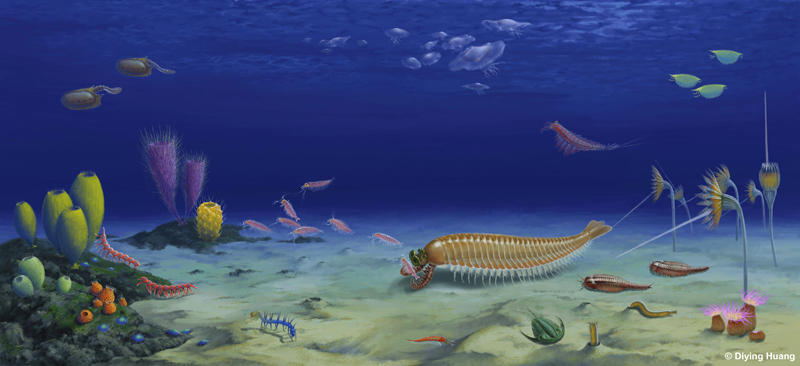 ????? ?????? ?????? ??? ????? ??????? ??? ??? 500 ????? ???