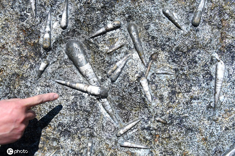 ???? ???? ????? ??? 800 ????? ????? 400 ????? ???