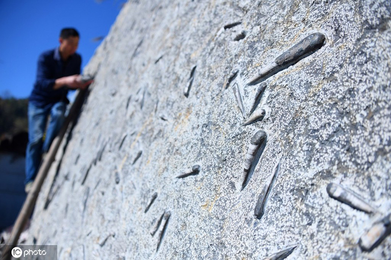 ???? ???? ????? ??? 800 ????? ????? 400 ????? ???