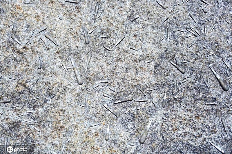 ???? ???? ????? ??? 800 ????? ????? 400 ????? ???