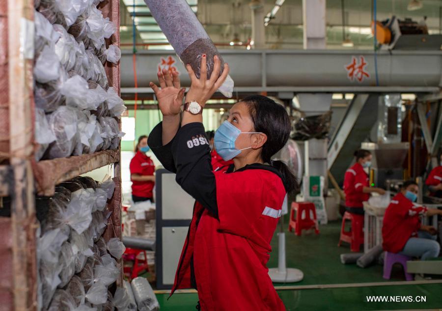 ???????? ??????? ???? ??? ????? ??????