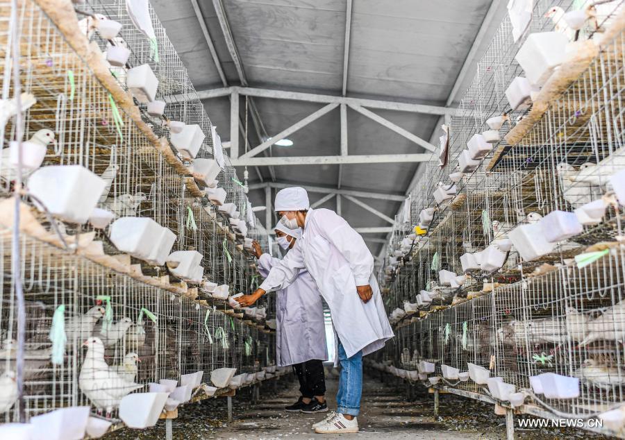 ???????? ??????? ???? ??? ????? ??????