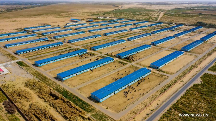 ???????? ??????? ???? ??? ????? ??????