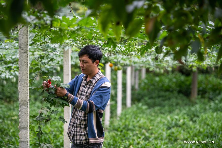 ???????? ??????? ??? ????? ?????? ?? ??????? ???? ??? ????? ??????