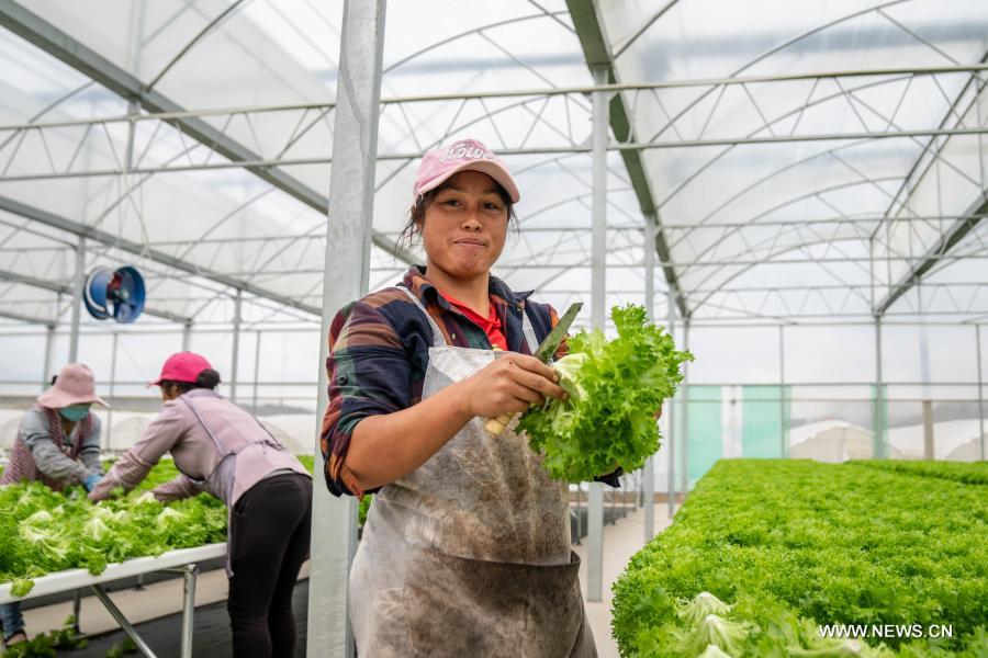 ???????? ??????? ??? ????? ?????? ?? ??????? ???? ??? ????? ??????