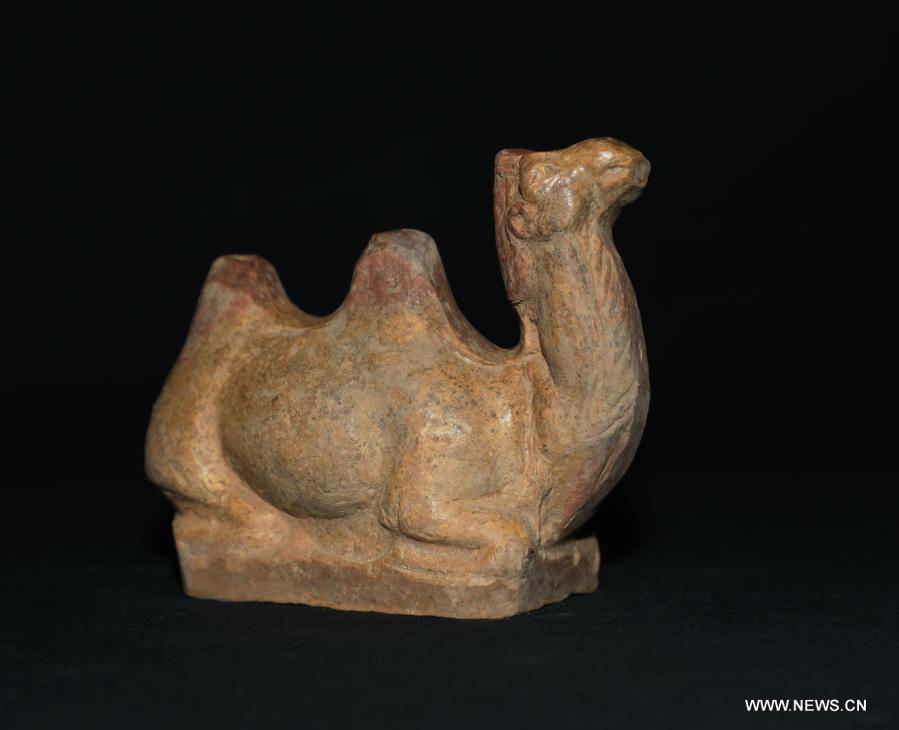 ?????? ???? ??? ???? 1200 ??? ???? ???? ????? ???? ???? ????