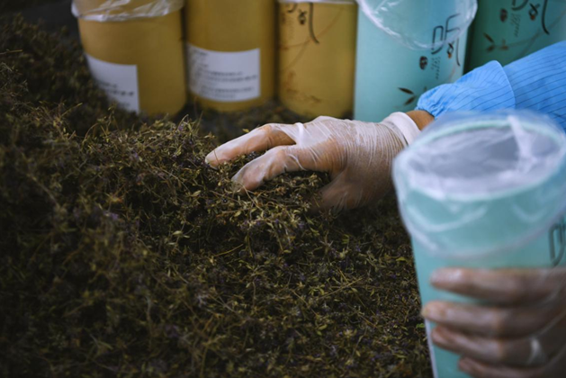 ?????? ??? ???? ??????? ??????? ?? ????? ??????