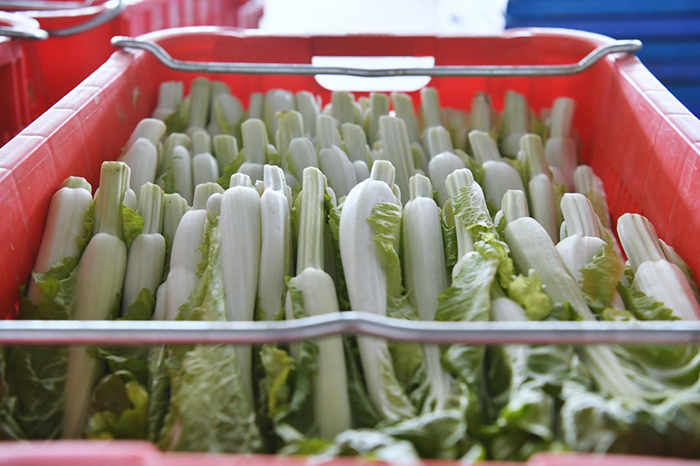 ?????? ??? ???? ??????? ??????? ?? ????? ??????