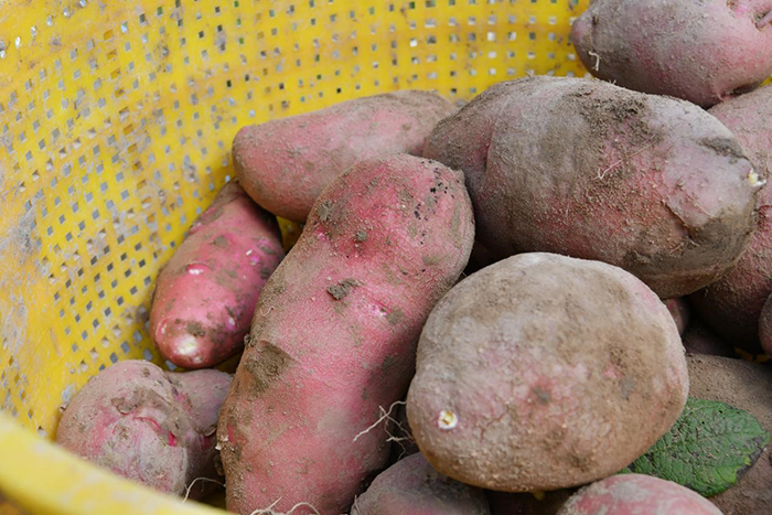 ?????? ??? ???? ??????? ??????? ?? ????? ??????