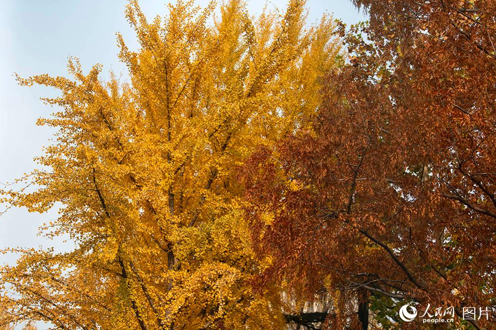 ???? ???? ????? ?????? ?? ????? ?????? ?? ????