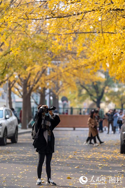 ???? ???? ????? ?????? ?? ????? ?????? ?? ????