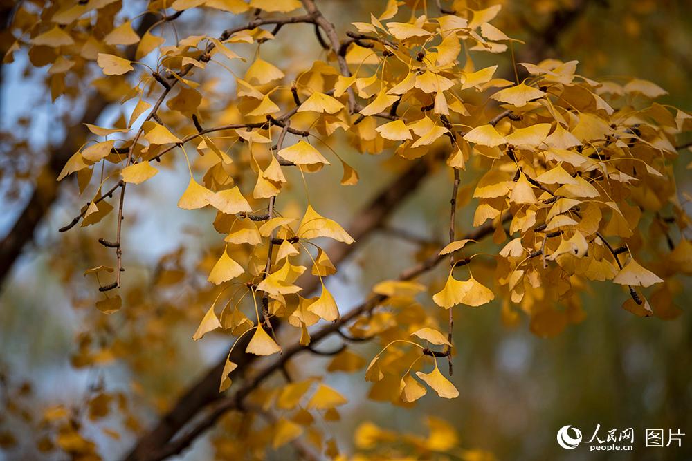 ???? ???? ????? ?????? ?? ????? ?????? ?? ????